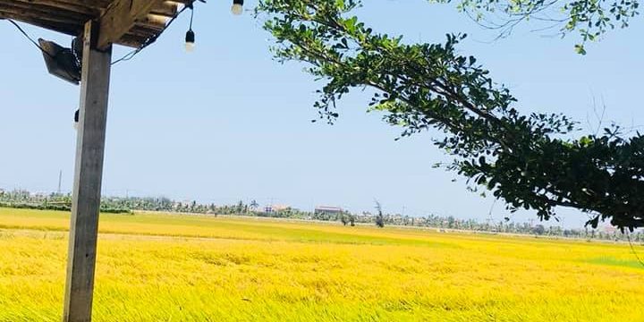 z2487583597437_68164068cda8aecf4b7ca86f9b2cb0a9