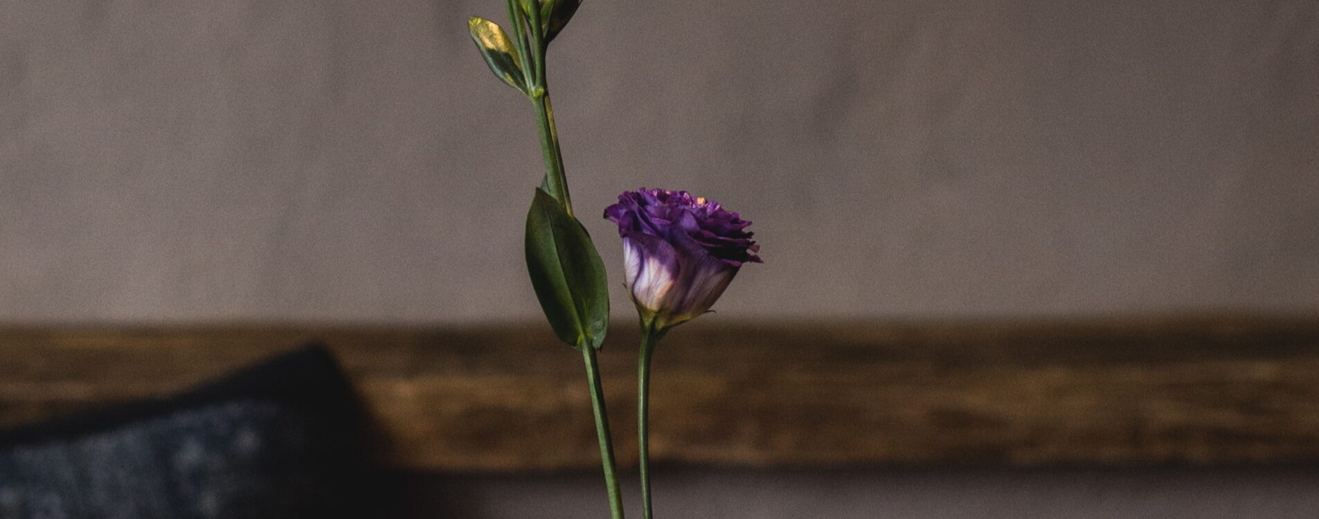 Image slideshow